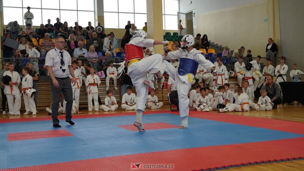 40 lat Ostrołęckiego Klubu Karate Kyokushin! Wielki turniej z okazji jubileuszu klubu [WIDEO, ZDJĘCIA]
