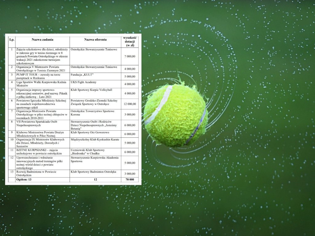 Powiat ostrołęcki podzielił kasę na sport. Od futbolu do badmintona