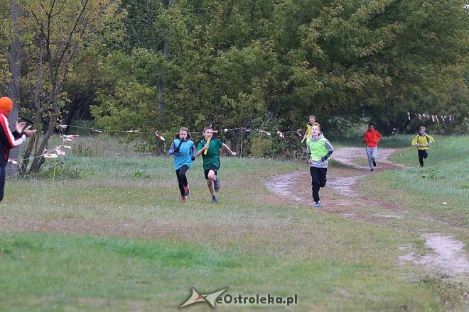 Sztafety z regionu na MIMS w biegach przełajowych (wyniki)
