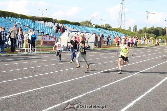 Klasyfikacja sportu młodzieżowego: kluby z regionu notowane w Polsce