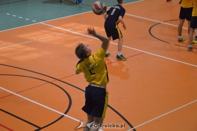 7 klubów z Ostrołęki we współzawodnictwie sportowym