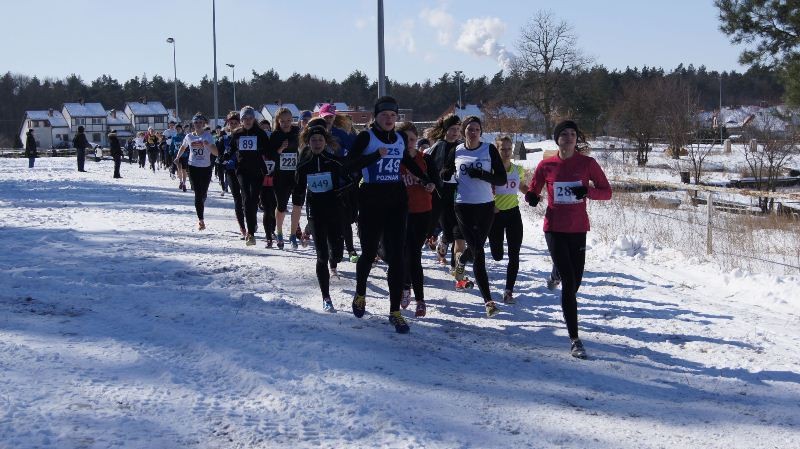 Mistrzostwa Polski w biegach przełajowych: Ostrołęczanie w drugiej dziesiątce stawki