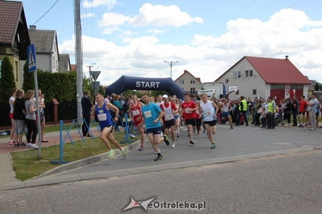 V Festiwal Biegowy "Zabiegaj o Borki" (zapisy)